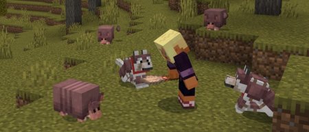 MINECRAFT PREVIEW 1.20.60.23